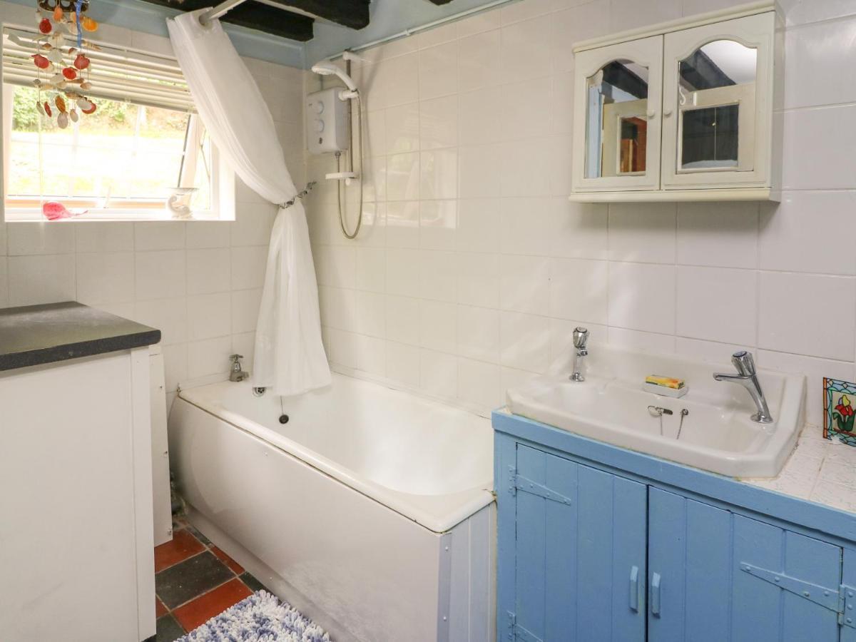 Caerau Farm House 란니들로스 외부 사진